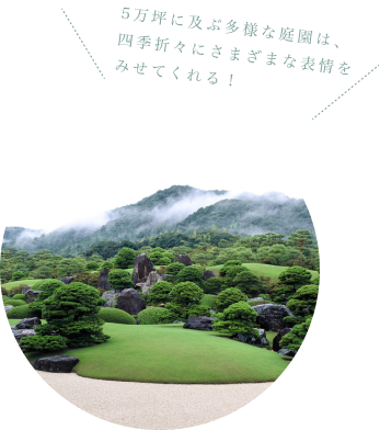 足立美術館の庭園の写真。5万坪に及ぶ多様な庭園は、四季折々にさまざまな表情をみせてくれる！