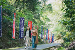 緑生い茂る参道を散歩する二人の女性の写真