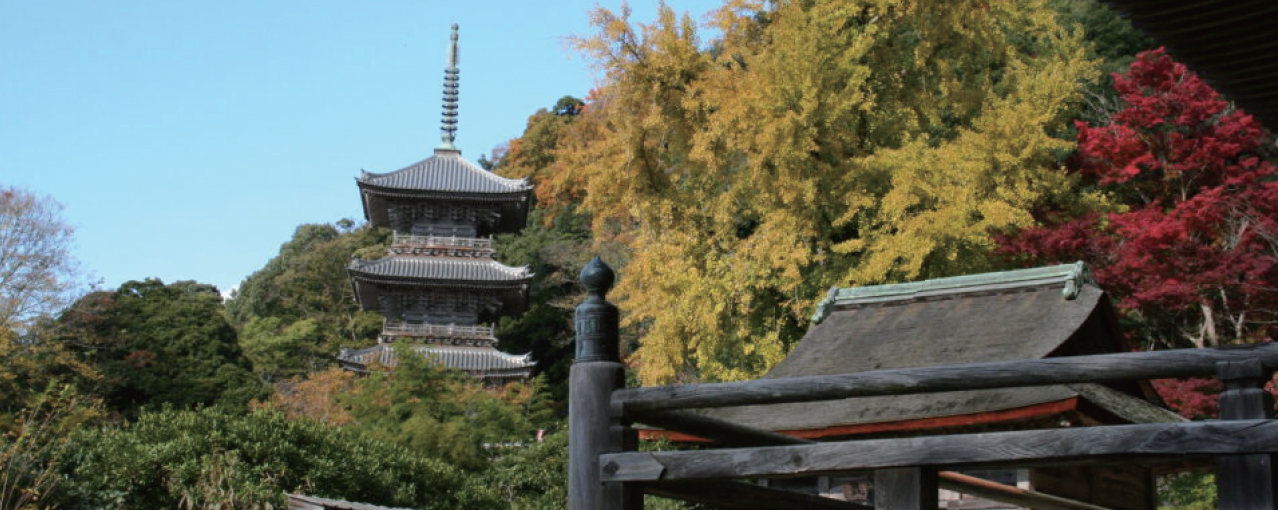 紅葉の中の清水寺